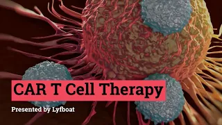 CAR T Cell Therapy for Cancer | CAR T Cell Therapy in India |