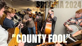 County Fool | SPBGMA Bluegrass Music Jam 2024 | Nashville, Tennessee