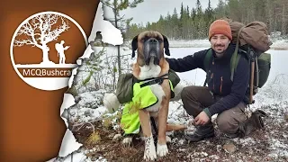 Early Winter Overnight Camping with my Dog in the Wilderness