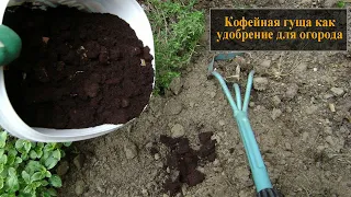 Кофейная гуща как удобрение для огорода