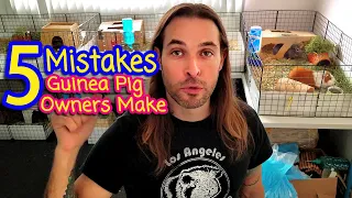 5 MISTAKES Guinea Pig Owners Make!