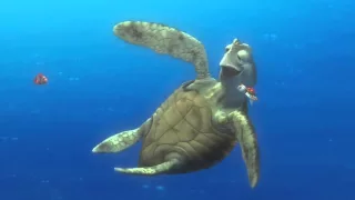 Finding Nemo Turtle Scene