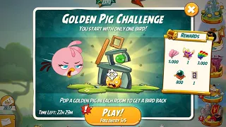 Angry Birds 2 Golden Pig Challenge Room 8 (Bird Stella)