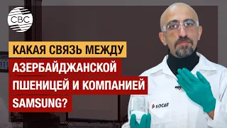 «SOCAR Karbamid»: На пути к продовольственной безопасности