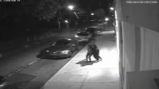 Video shows nurse's abduction in Philly