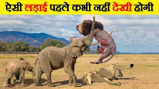 जानवरों की खतरनाक लड़ाइयां जिन्हे देख आपका होश उड़ जायेगा | 15 Extreme Wild Animal Fights