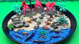 Dinosaur Small World With 3 Volcano | Diorama For Dino In Black Tray 화산폭발 공룡 디오라마