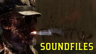 Coyle Soundfiles (The Outlast Trials)