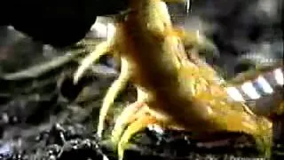 Knife Party - Centipede original video rip (Discovery Channel)