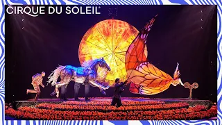 LUZIA by Cirque du Soleil - Official Trailer | Cirque du Soleil