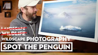 Landscape Photographer Tries Wildlife Photography | Nikon Z9 + 100-400mm Lens