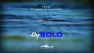 flySOLO series T2-E2:  "El sauce de la alegría"