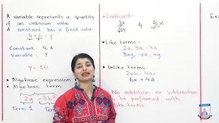 Class 6 - Mathematics - Chapter 8 - Lecture 1 - Introduction to Algebra - Allied Schools