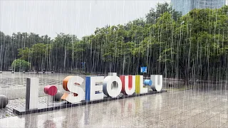 (4K) Walking in Heavy Rain | Seoul Forest Park | Binaural Rain Sounds | South Korea | 폭우, 서울숲공원