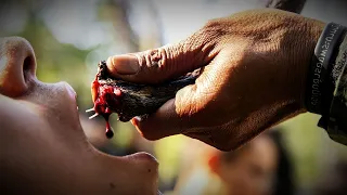 PARA SPECIAL FORCES Snake Eating Training - INDIAN ARMY