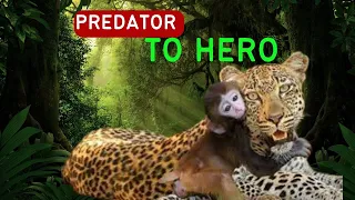 "Wild Rescues: Unlikely Heroes of the Animal Kingdom"