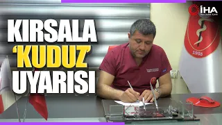 Kuduz Uyarısı! İnsanlarda 280 Gün Sonra Bile Belirti Gösterebiliyor