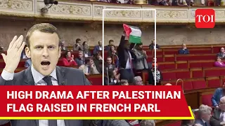 Pro-Palestine Protests Explode In French Parliament; Macron Refuses To Back 'Emotional Recognition'