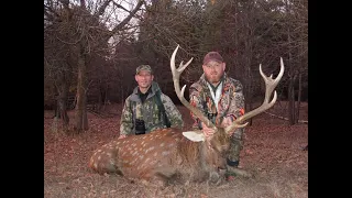 Lasse and Peter 2019 Sika Deer Hunt Ukraine