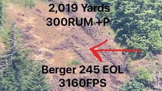 300 RUM @ 2,019 Yards