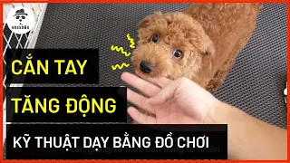 Cách cầm dây thừng dạy chó con hết cắn tay chi tiết | Cách huấn luyện chó cơ bản BossDog