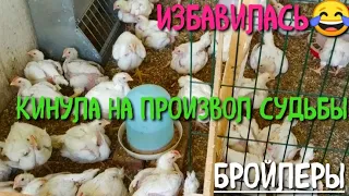 НАДОЕЛО ТАСКАТЬ Г@МНО - ВЫКИНУЛА ВСЕХ БРОЙЛЕРОВ...