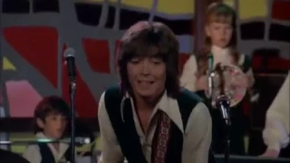 David Cassidy / I Can Feel Your Heartbeat