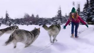 Animals Reunited With Owners After Years!