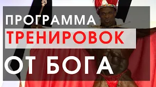 3 программы, которые сделают из Вас фитнес-модель. Бесплатно.