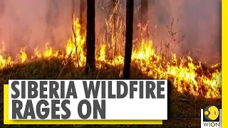 Your Story: Siberia battles wildfires and heatwaves | Satellite images show clouds of smoke