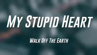 My Stupid Heart - Walk Off The Earth (Lyrics) ☄