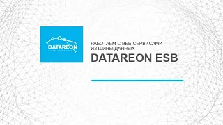 Работаем с веб-сервисами из шины данных DATAREON ESB