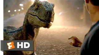Jurassic World: Fallen Kingdom (2018) - Goodbye, Blue Scene (9/10) | Movieclips