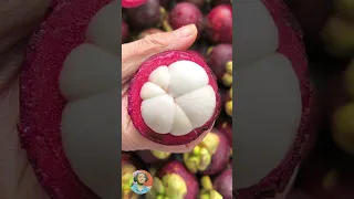 Enjoy Beautiful Nature With Rural Life | Farm Fresh Ninja Fruit Cutting Oddly Satisfying & Relaxing