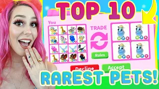 I Traded The Top 10 Rarest Pets In Adopt Me! (Adopt Me Roblox)