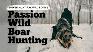Passion Wild Boar Hunting Driven Hunt for Wild Boar 3