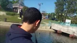 Carp fishing with a surprise goldfish catch!