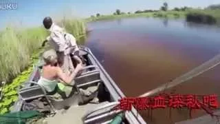 Biggest crocodile caught on tape