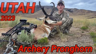 UTAH / Archery Pronghorn / 2023
