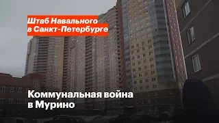 Коммунальная война в Мурино