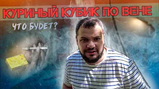 🧪Сода, мазь, куриный кубик ВНУТРИВЕННО | Что будет? | Не повторять!