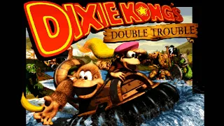 Donkey Kong Country 3: Dixie Kong's Double Trouble! (SNES) (105%) (Walkthrough) [4:3/FHD@60]