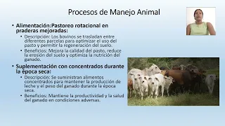 PROCESOS DE MANEJO ANIMAL