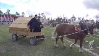 Семь дней в Оптиной