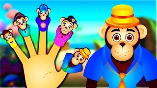 Chimpanzee Finger Family | Animal Finger Family Songs | Nursery Rhymes For Children