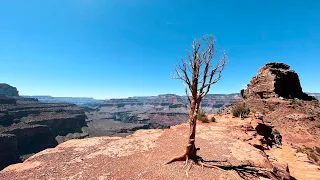 Grand Canyon South Kaibab Trailhead to Phantom Ranch Hike/Run | Complete Trail POV