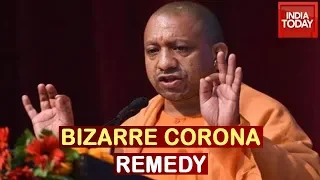Bizarre Corona Cure: BJP Leader Claims Yoga, Cow Dung & Urine Can Cure Virus
