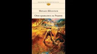 Буктрейлер.  Шолохов М. А.  "Они сражались за родину"