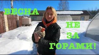 #142. Весеннее настроение!:) На месте не сидим. [Жизнь на своей земле]