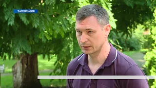 Запорізькі каштани атакує небезпечна комаха: чим це небезпечно та як цьому запобігти